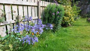 Photo 16- click for photo gallery